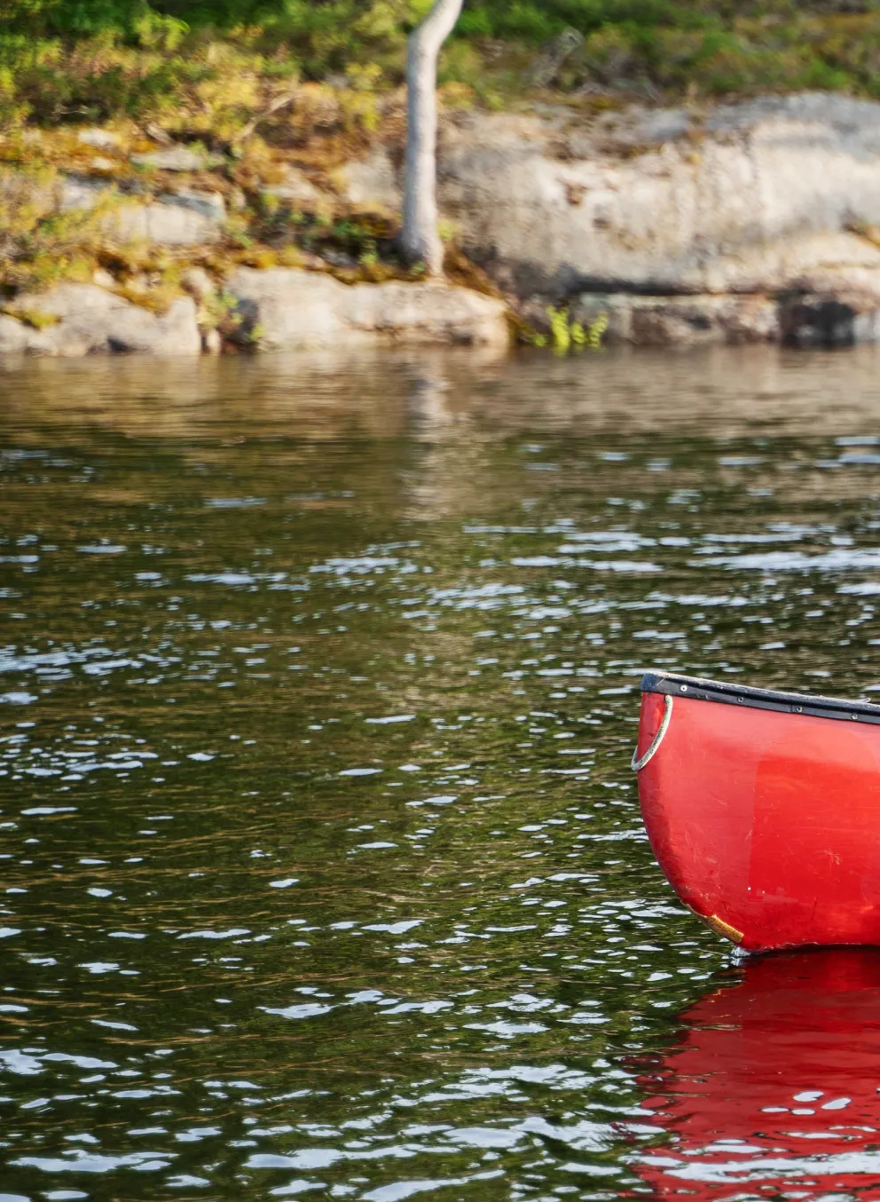 Girls canoeing at CQE